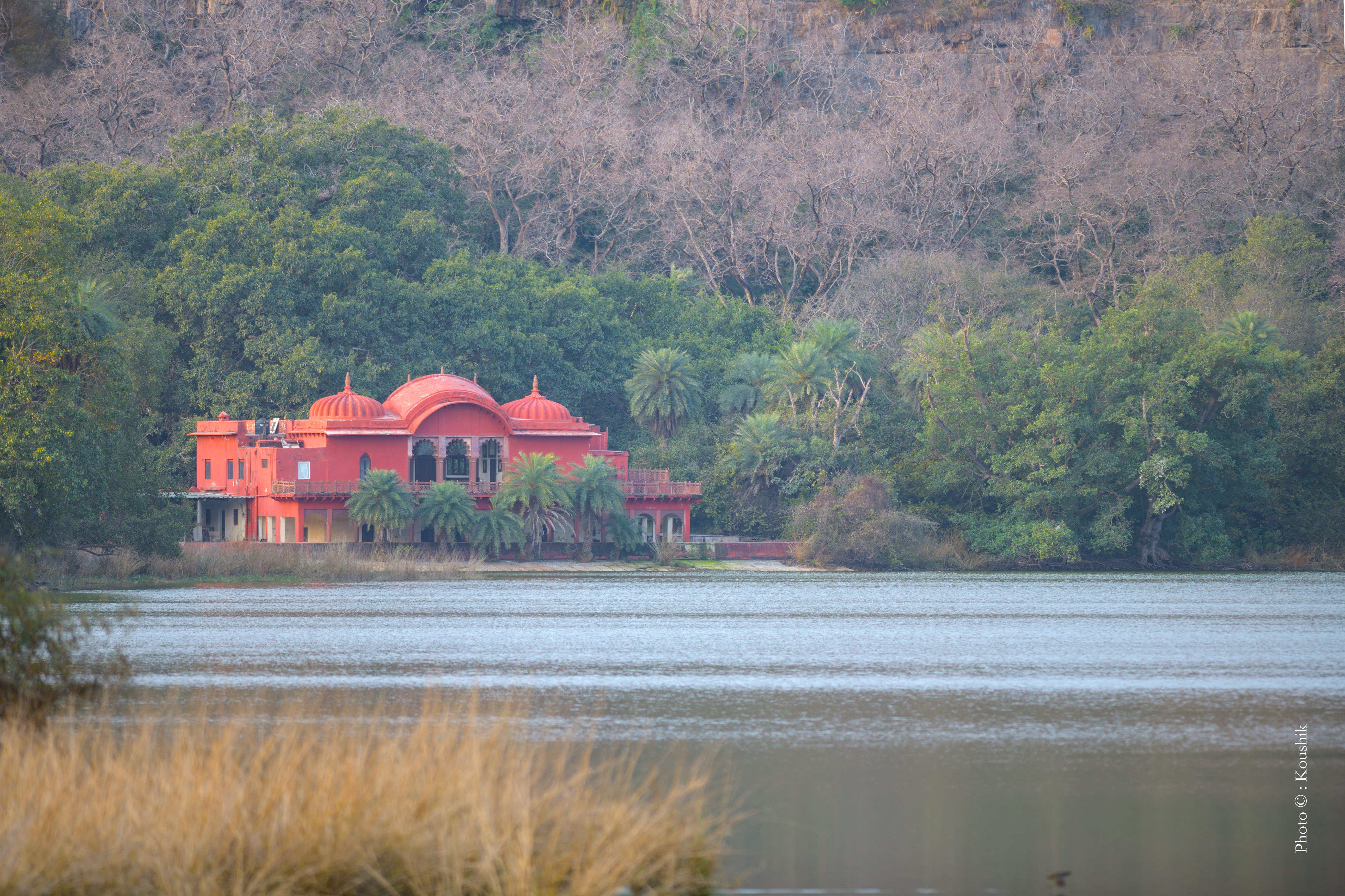ranthambore canter safari booking